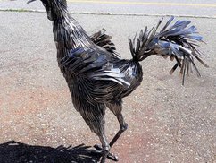 junger Hofhahn (aus 510 Gabeln)